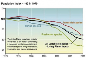 Figure 2. Dwindling populations of wild living animals and of biodiversity. Source: http://www.unep-wcmc.org/