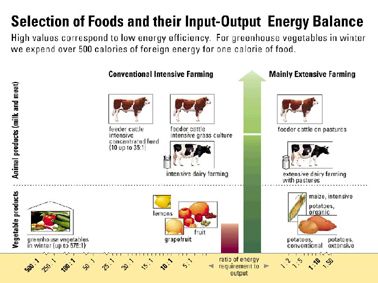 Fig. 24: Food can “eat” a lot of energy, — but need not.